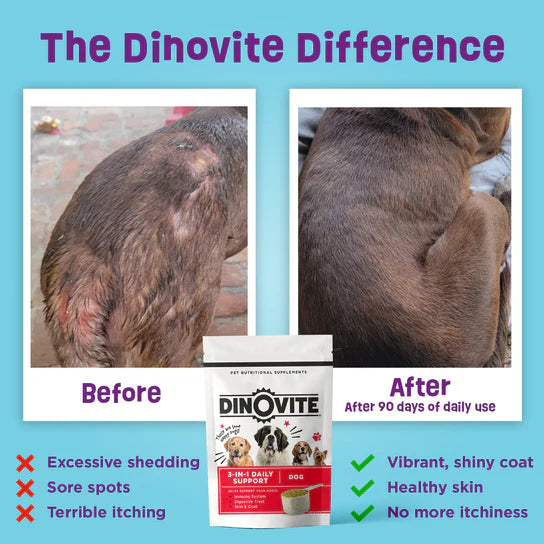 Dinovite for Multi Dog Homes - 90 Day Supply