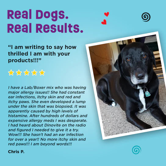 Dinovite for Multi Dog Homes - 90 Day Supply